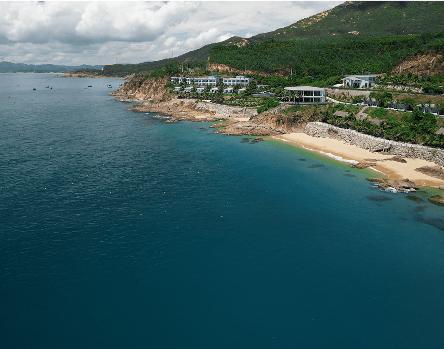 Experience Background